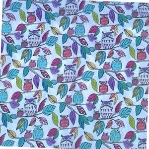 Pottery Barn Teen Whimsical Owl Duvet Set Full/Queen White Multi Organic Cotton